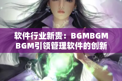 軟件行業(yè)新貴：BGMBGMBGM引領(lǐng)管理軟件的創(chuàng)新和卓越，價(jià)格實(shí)惠！
