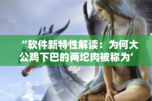 “軟件新特性解讀：為何大公雞下巴的兩坨肉被稱為‘豬肝肺’？”