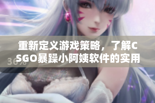 重新定義游戲策略，了解CSGO暴躁小阿姨軟件的實(shí)用功能