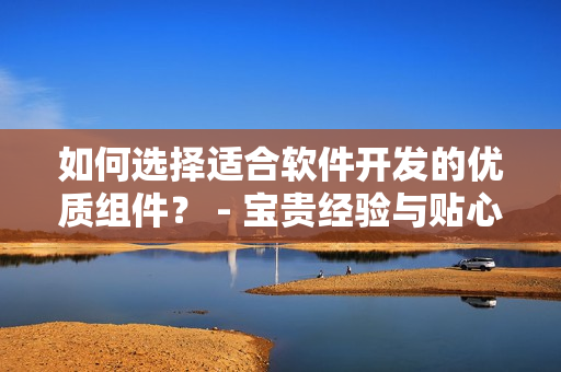 如何選擇適合軟件開發(fā)的優(yōu)質組件？ - 寶貴經(jīng)驗與貼心建議