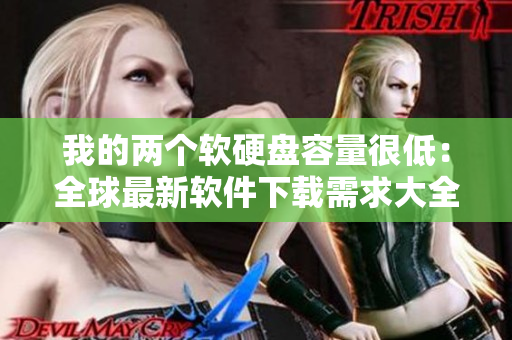 我的兩個(gè)軟硬盤容量很低：全球最新軟件下載需求大全
