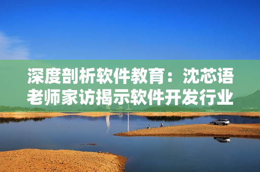 深度剖析軟件教育：沈芯語老師家訪揭示軟件開發(fā)行業(yè)內幕