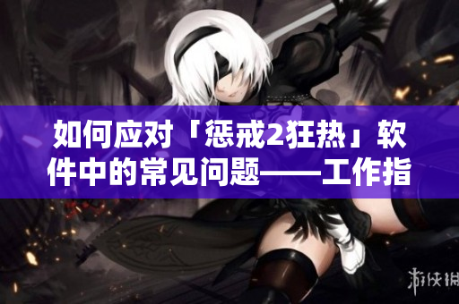 如何應對「懲戒2狂熱」軟件中的常見問題——工作指導第二集