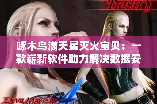 啄木鳥滿天星滅火寶貝：一款嶄新軟件助力解決數(shù)據(jù)安全問題