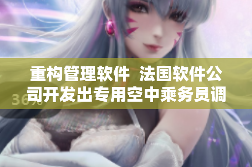 重構(gòu)管理軟件  法國軟件公司開發(fā)出專用空中乘務(wù)員調(diào)度軟件