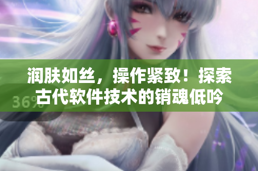 潤膚如絲，操作緊致！探索古代軟件技術(shù)的銷魂低吟