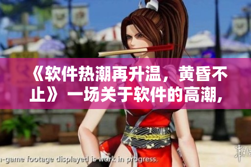 《軟件熱潮再升溫，黃昏不止》 一場關(guān)于軟件的高潮, 仿佛黃昏永不降臨