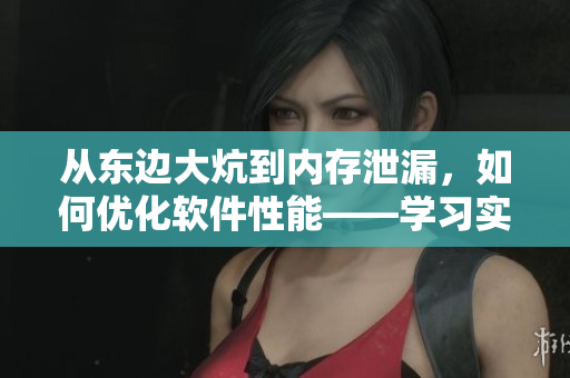 從東邊大炕到內(nèi)存泄漏，如何優(yōu)化軟件性能——學(xué)習(xí)實(shí)用技巧