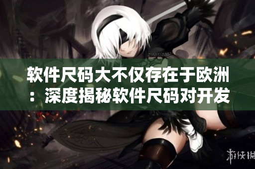 軟件尺碼大不僅存在于歐洲：深度揭秘軟件尺碼對開發(fā)者的影響
