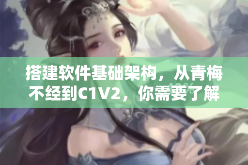 搭建軟件基礎(chǔ)架構(gòu)，從青梅不經(jīng)到C1V2，你需要了解的所有秘訣！