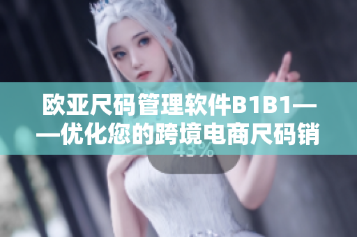 歐亞尺碼管理軟件B1B1——優(yōu)化您的跨境電商尺碼銷售體驗(yàn)