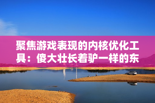 聚焦游戲表現(xiàn)的內(nèi)核優(yōu)化工具：傻大壯長著驢一樣的東西