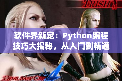 軟件界新寵：Python編程技巧大揭秘，從入門到精通