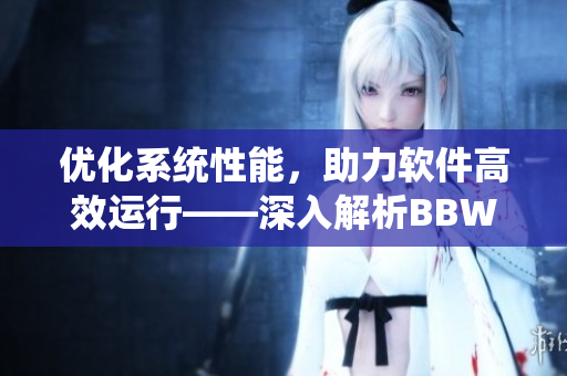優(yōu)化系統(tǒng)性能，助力軟件高效運行——深入解析BBWWBWWBBWW