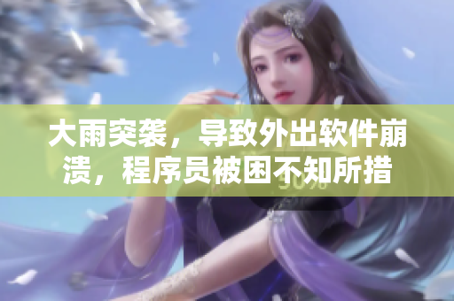 大雨突襲，導(dǎo)致外出軟件崩潰，程序員被困不知所措