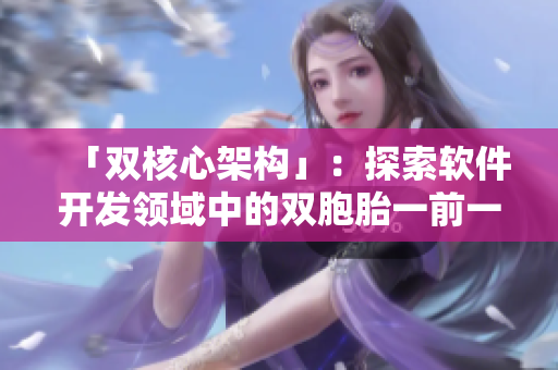 「雙核心架構(gòu)」：探索軟件開發(fā)領(lǐng)域中的雙胞胎一前一后夾心餅干雙子