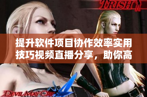 提升軟件項(xiàng)目協(xié)作效率實(shí)用技巧視頻直播分享，助你高效成功
