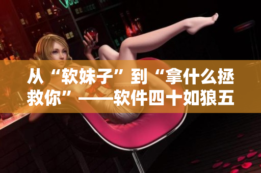 從“軟妹子”到“拿什么拯救你”——軟件四十如狼五十如虎