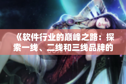 《軟件行業(yè)的巔峰之路：探索一線、二線和三線品牌的興起》