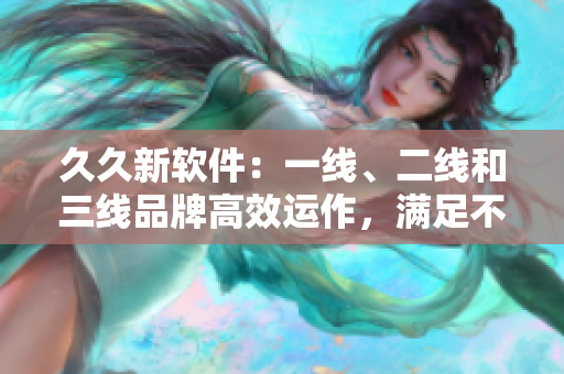 久久新軟件：一線、二線和三線品牌高效運(yùn)作，滿足不同用戶需求