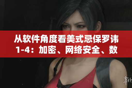 從軟件角度看美式忌保羅諱1-4：加密、網(wǎng)絡安全、數(shù)據(jù)保護與備份