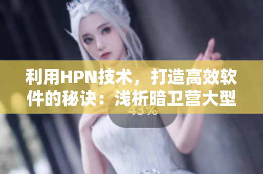 利用HPN技術(shù)，打造高效軟件的秘訣：淺析暗衛(wèi)營(yíng)大型軟件。