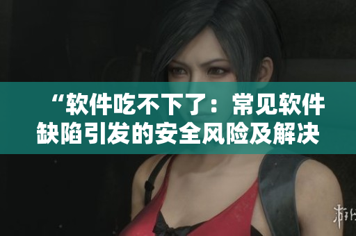 “軟件吃不下了：常見軟件缺陷引發(fā)的安全風(fēng)險及解決方法”