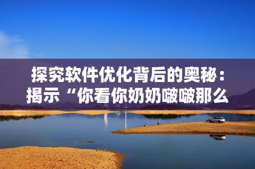 探究軟件優(yōu)化背后的奧秘：揭示“你看你奶奶啵啵那么大”歌曲背后的技術(shù)解析