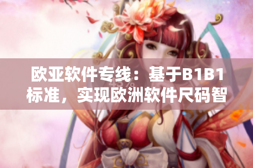 歐亞軟件專線：基于B1B1標準，實現(xiàn)歐洲軟件尺碼智能匹配