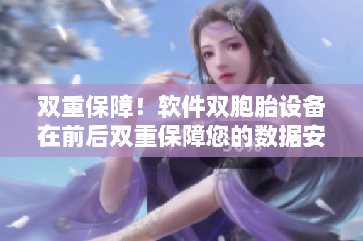 雙重保障！軟件雙胞胎設備在前后雙重保障您的數(shù)據(jù)安全