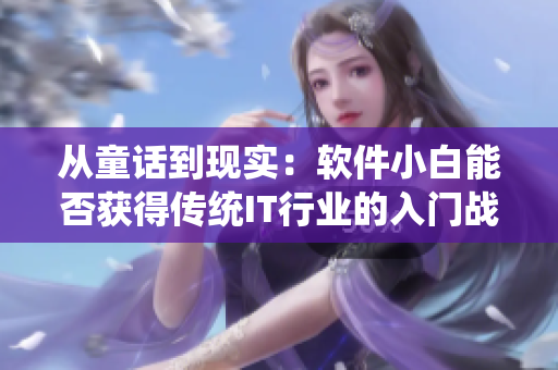 從童話到現(xiàn)實：軟件小白能否獲得傳統(tǒng)IT行業(yè)的入門戰(zhàn)斗經(jīng)驗？