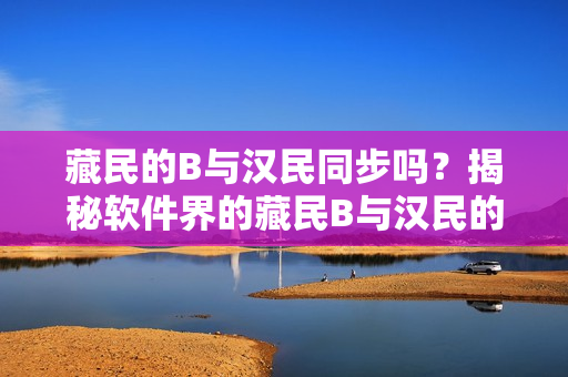 藏民的B與漢民同步嗎？揭秘軟件界的藏民B與漢民的異同