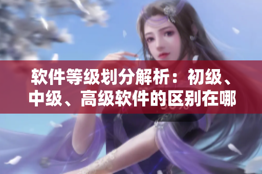 軟件等級劃分解析：初級、中級、高級軟件的區(qū)別在哪？