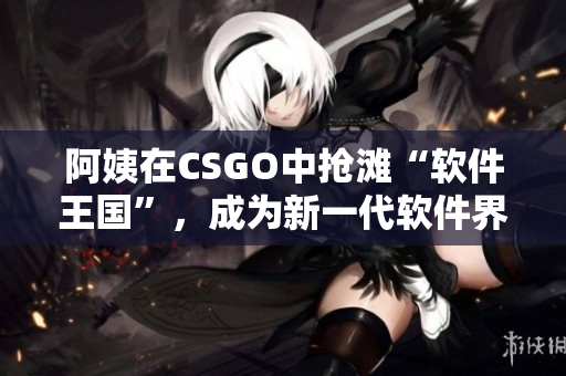 阿姨在CSGO中搶灘“軟件王國”，成為新一代軟件界“老大娘”