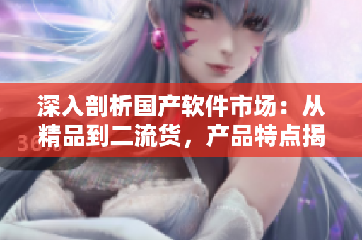 深入剖析國產(chǎn)軟件市場：從精品到二流貨，產(chǎn)品特點(diǎn)揭秘