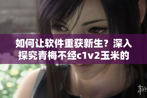 如何讓軟件重獲新生？深入探究青梅不經(jīng)c1v2玉米的解決之道
