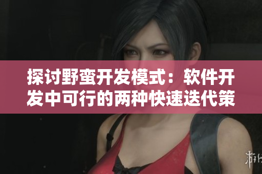 探討野蠻開(kāi)發(fā)模式：軟件開(kāi)發(fā)中可行的兩種快速迭代策略