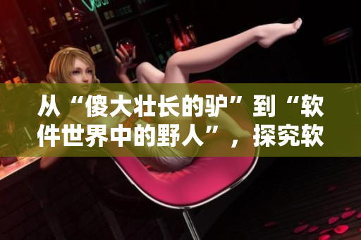 從“傻大壯長的驢”到“軟件世界中的野人”，探究軟件素質(zhì)管理的必要性