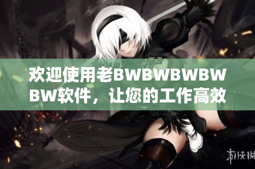 歡迎使用老BWBWBWBWBW軟件，讓您的工作高效便捷！