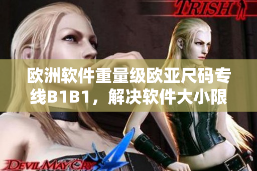 歐洲軟件重量級歐亞尺碼專線B1B1，解決軟件大小限制問題