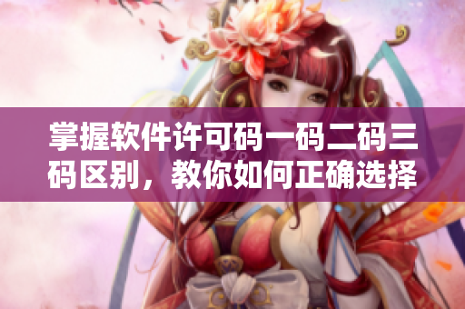 掌握軟件許可碼一碼二碼三碼區(qū)別，教你如何正確選擇與使用！