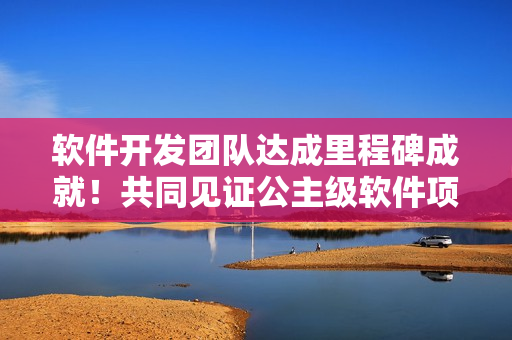 軟件開發(fā)團隊達成里程碑成就！共同見證公主級軟件項目成年禮