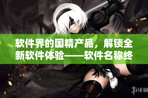 軟件界的國精產(chǎn)品，解鎖全新軟件體驗——軟件名稱終極評測