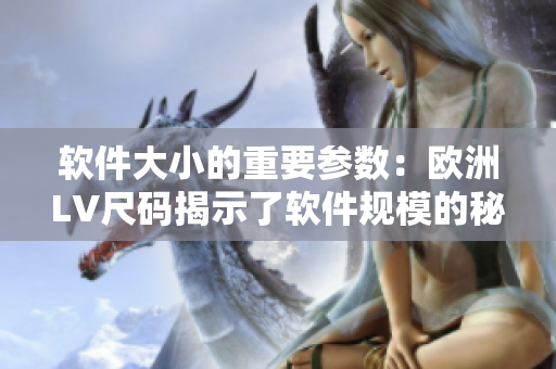 軟件大小的重要參數(shù)：歐洲LV尺碼揭示了軟件規(guī)模的秘密