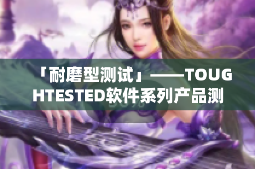 「耐磨型測試」——TOUGHTESTED軟件系列產(chǎn)品測評
