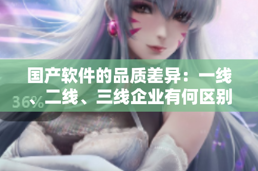 國產(chǎn)軟件的品質(zhì)差異：一線、二線、三線企業(yè)有何區(qū)別？