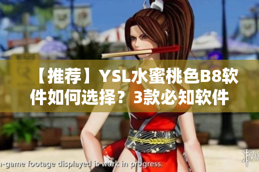 【推薦】YSL水蜜桃色B8軟件如何選擇？3款必知軟件推薦！