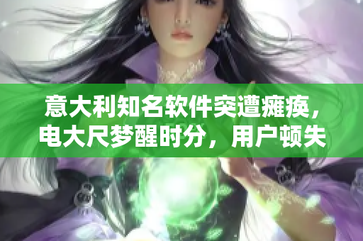 意大利知名軟件突遭癱瘓，電大尺夢醒時分，用戶頓失在線體驗