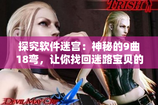 探究軟件迷宮：神秘的9曲18彎，讓你找回迷路寶貝的良方！