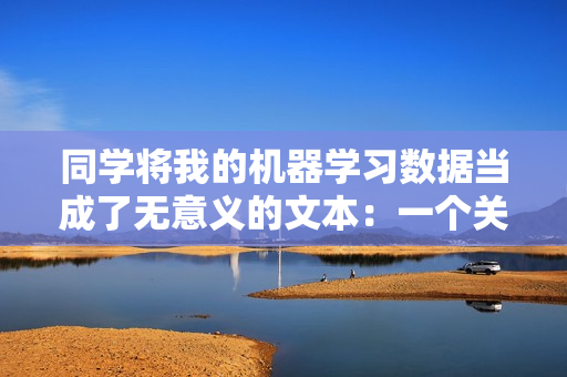 同學(xué)將我的機(jī)器學(xué)習(xí)數(shù)據(jù)當(dāng)成了無意義的文本：一個關(guān)于數(shù)據(jù)處理的故事